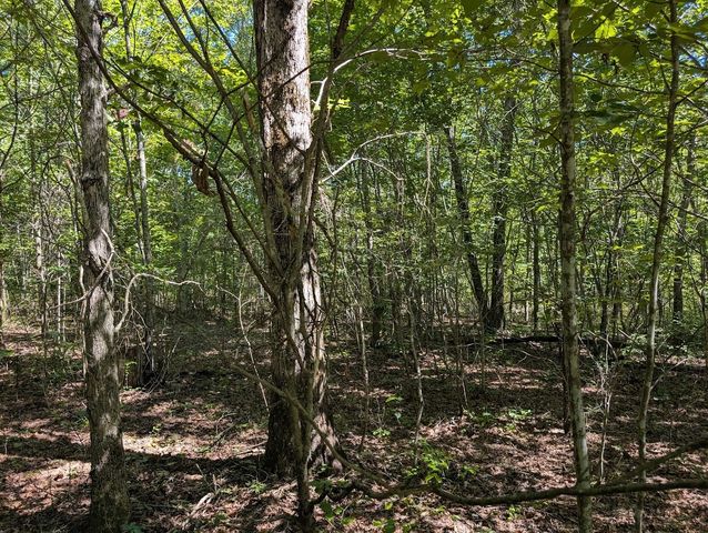 140 Sunset Bluff Way, Monteagle, TN 37356
