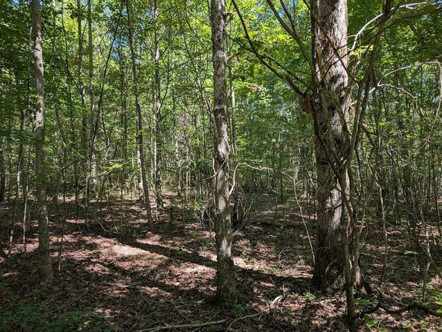 140 Sunset Bluff Way, Monteagle, TN 37356