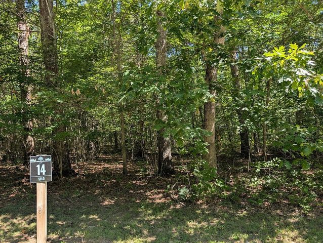 140 Sunset Bluff Way, Monteagle, TN 37356