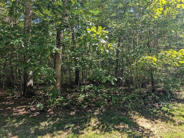140 Sunset Bluff Way, Monteagle, TN 37356