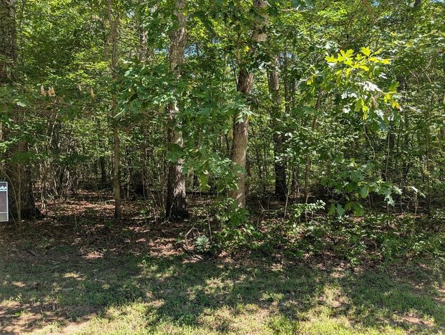 140 Sunset Bluff Way, Monteagle, TN 37356