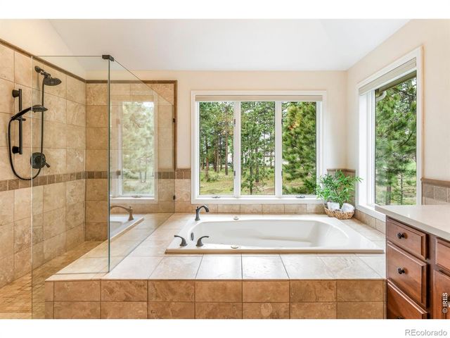 29360 Northstar Lane, Evergreen, CO 80439