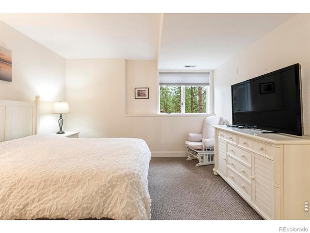 29360 Northstar Lane, Evergreen, CO 80439