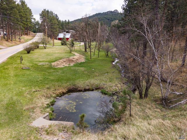 12989 OLD HILL CITY RD, Keystone, SD 57751