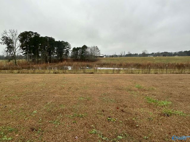 1180 County Road 617, Hanceville, AL 35077