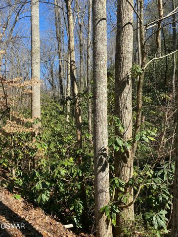 1823 Laurel Valley Way, Sevierville, TN 37862