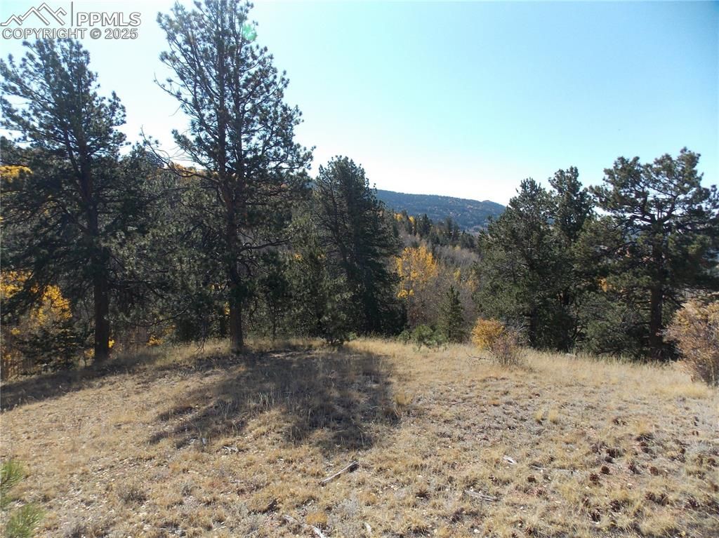 1944 May Queen Drive, Cripple Creek, CO 80813