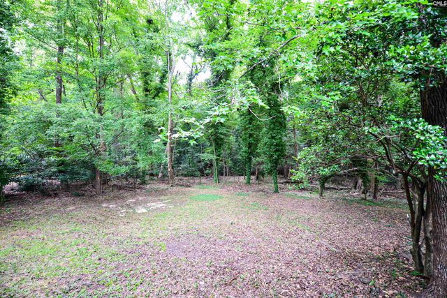 4 Valleybrook Court, Sumter, SC 29154