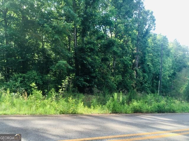 LOTS 62 & 63 Anchor Pointe Drive, Eatonton, GA 31024