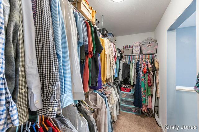 1344 Springview Court, Yankee Springs Twp, MI 49333