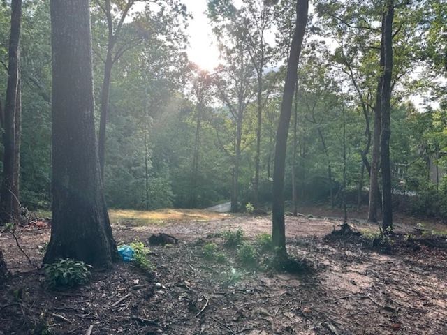 00 E LAKESHORE Drive, Landrum, SC 29356