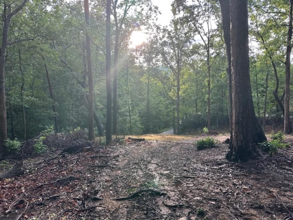 00 E LAKESHORE Drive, Landrum, SC 29356