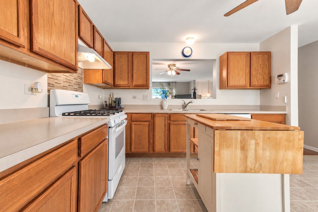 3463 Silver Leaf Drive, Joliet, IL 60431 — photo 3