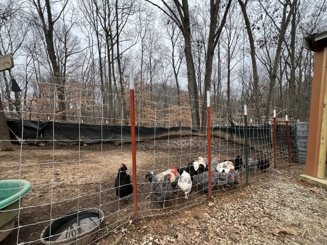 75 New Harmony Rd, Lafayette, TN 37083