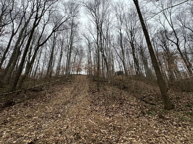 75 New Harmony Rd, Lafayette, TN 37083