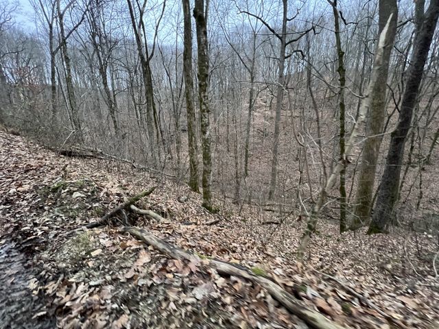 75 New Harmony Rd, Lafayette, TN 37083