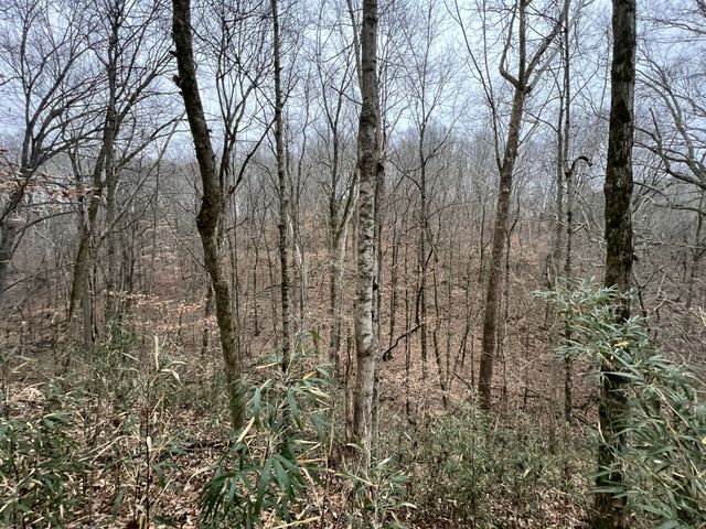 75 New Harmony Rd, Lafayette, TN 37083