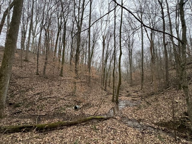 75 New Harmony Rd, Lafayette, TN 37083