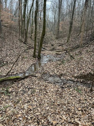 75 New Harmony Rd, Lafayette, TN 37083