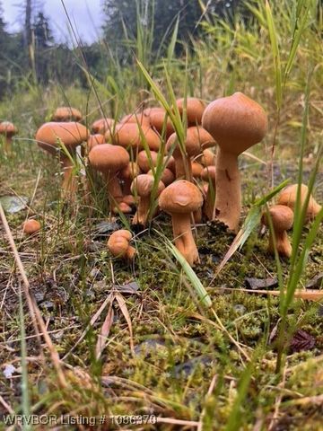 4711 Oak Hollow Lane, Fort Smith, AR 72903