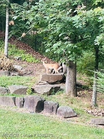 4711 Oak Hollow Lane, Fort Smith, AR 72903