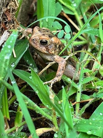 4711 Oak Hollow Lane, Fort Smith, AR 72903