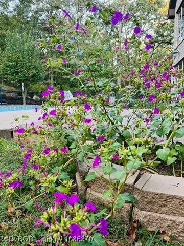 4711 Oak Hollow Lane, Fort Smith, AR 72903