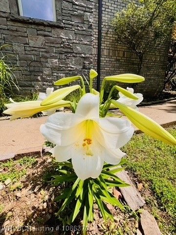 4711 Oak Hollow Lane, Fort Smith, AR 72903