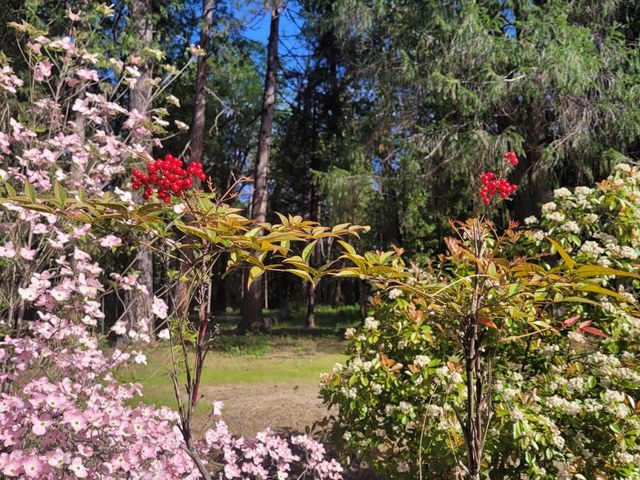 346 Gracie Rd, Nevada City, CA 95959