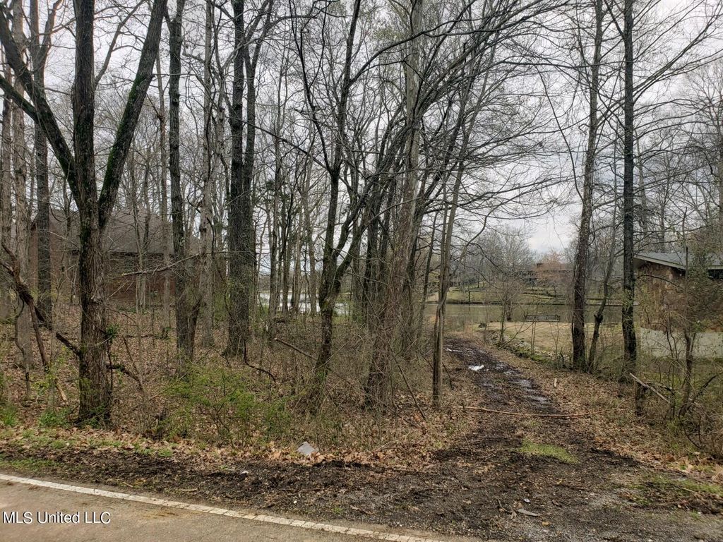 4025 Windermere Drive, Nesbit, MS 38651 — exterior