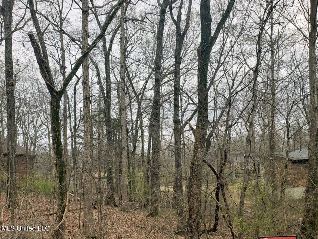 4025 Windermere Drive, Nesbit, MS 38651 — photo 2