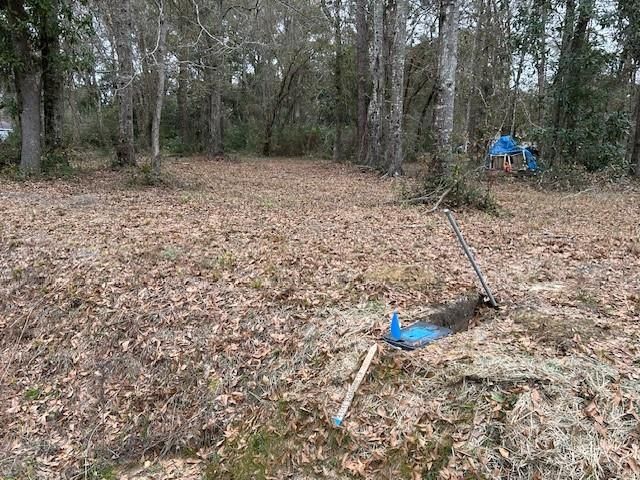 9391 Baptiste E Drive, Theodore, AL 36582