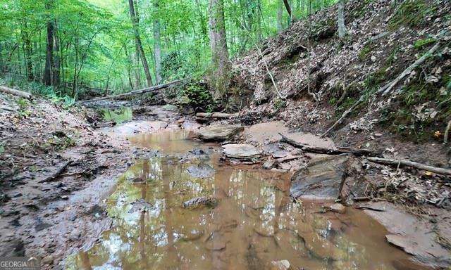 6260 White Mill Road, Fairburn, GA 30213