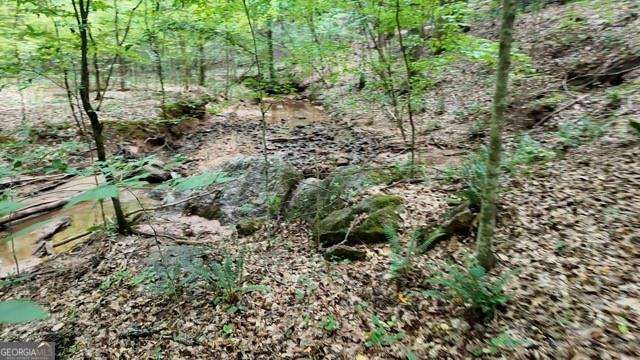 6260 White Mill Road, Fairburn, GA 30213
