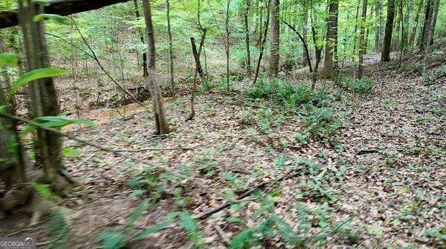 6260 White Mill Road, Fairburn, GA 30213