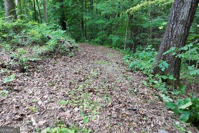 6260 White Mill Road, Fairburn, GA 30213