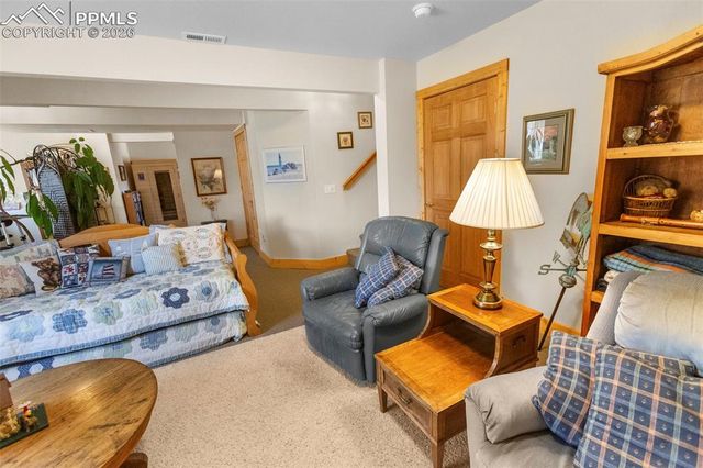 481 Black Bear Trail, Woodland Park, CO 80863
