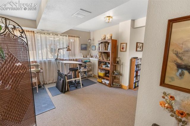 481 Black Bear Trail, Woodland Park, CO 80863