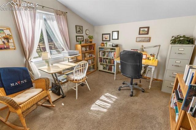 481 Black Bear Trail, Woodland Park, CO 80863