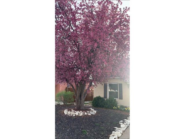 2223 Pine St, Pueblo, CO 81004