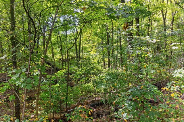 145 Ravine Ridge Drive S, Powell, OH 43065