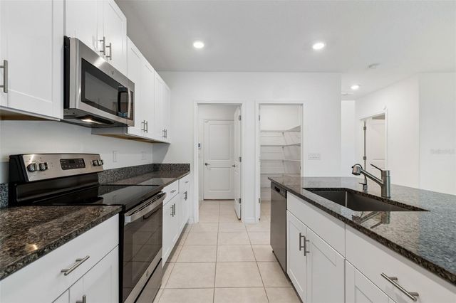 10072 BRANCHING SHIP TRACE, Wesley Chapel, FL 33545