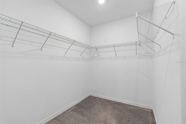10072 BRANCHING SHIP TRACE, Wesley Chapel, FL 33545