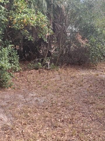 19100 SE 95TH STREET, Ocklawaha, FL 32179