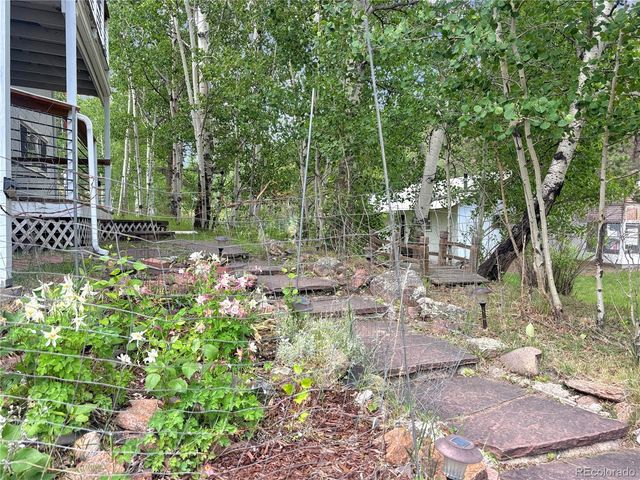 427 Brookside Drive, Bailey, CO 80421