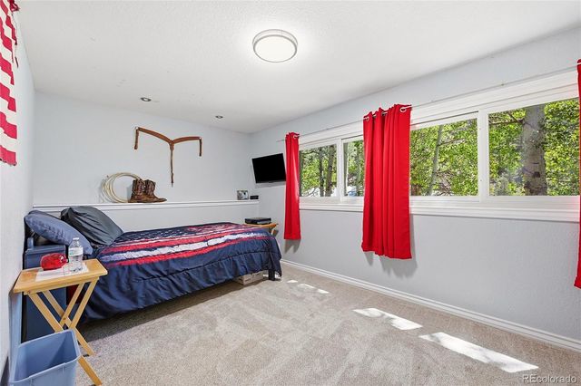427 Brookside Drive, Bailey, CO 80421