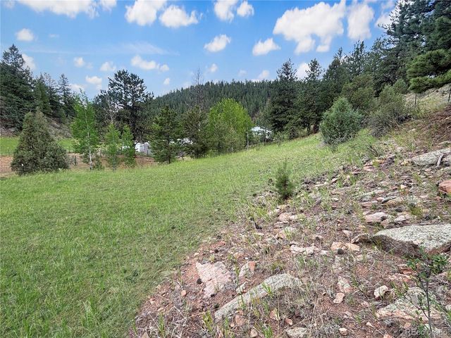 427 Brookside Drive, Bailey, CO 80421