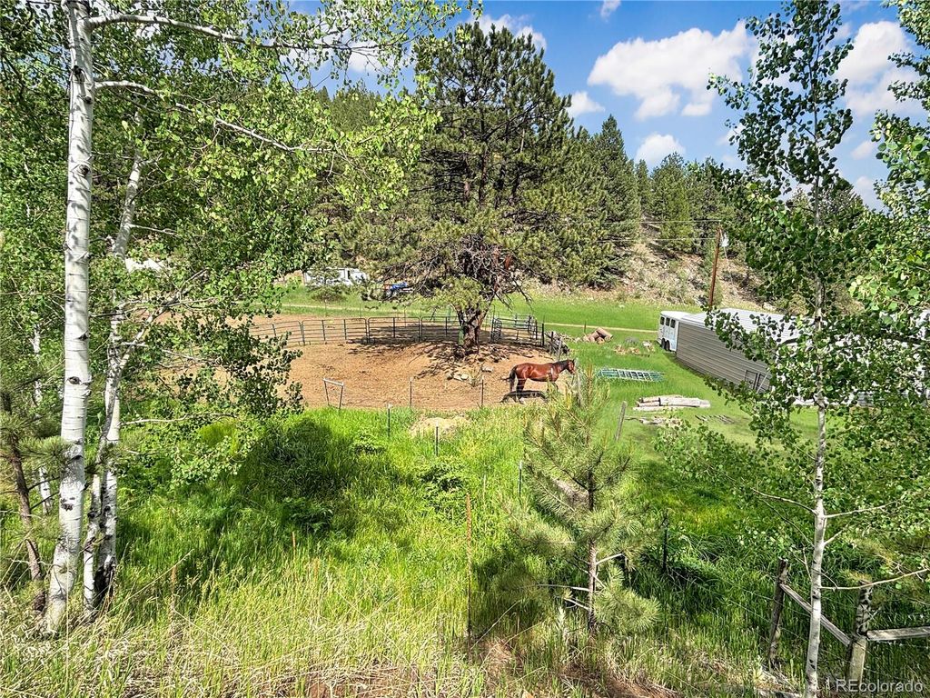 427 Brookside Drive, Bailey, CO 80421