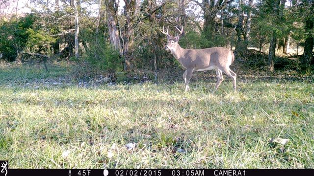 935 Comer Road, Lascassas, TN 37085