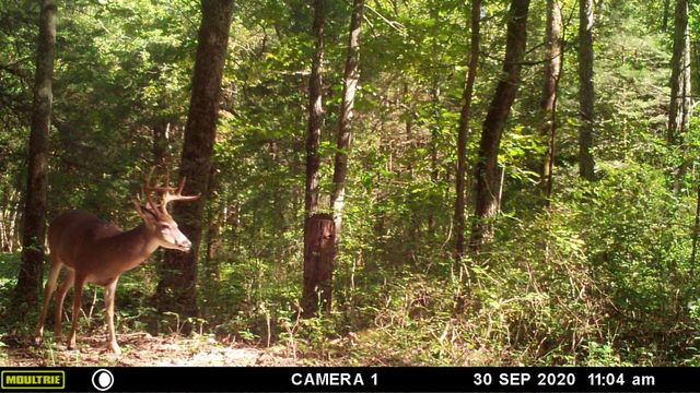 935 Comer Road, Lascassas, TN 37085